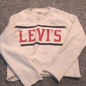 Levi Cropped Sweater